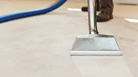 Carpet cleaning wand head gliding over a light carpet during hot-water extraction, Springfield, MO.