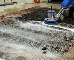 Professional rug cleaning with a rotary floor machine and shampoo foam, deep-cleaning an area rug, in Springfield, MO.