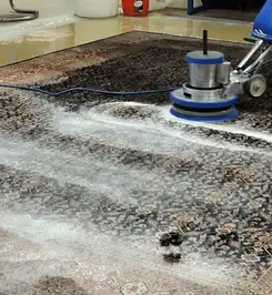 Professional rug cleaning with a rotary floor machine and shampoo foam, deep-cleaning an area rug Springfield, MO.